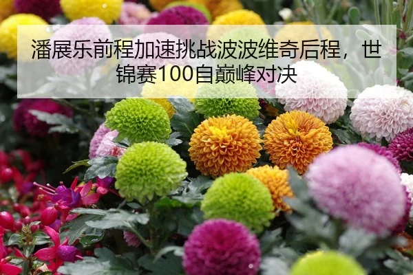潘展乐前程加速挑战波波维奇后程，世锦赛100自巅峰对决