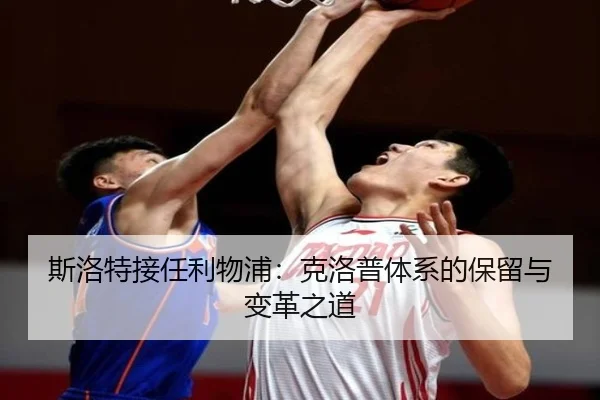 si-luo-te-jie-ren-li-wu-pu-ke-luo-pu-ti-xi-de-bao-liu-yu-bian-ge-zhi-dao-3-856.jpg