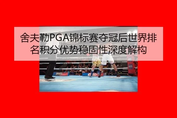 she-fu-lei-jin-biao-sai-duo-guan-hou-shi-jie-pai-ming-ji-fen-you-shi-wen-gu-xing-shen-du-jie-gou-2-469.jpg